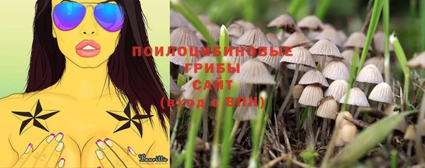 амф Пересвет